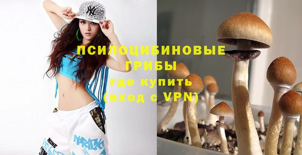 твердый Нягань
