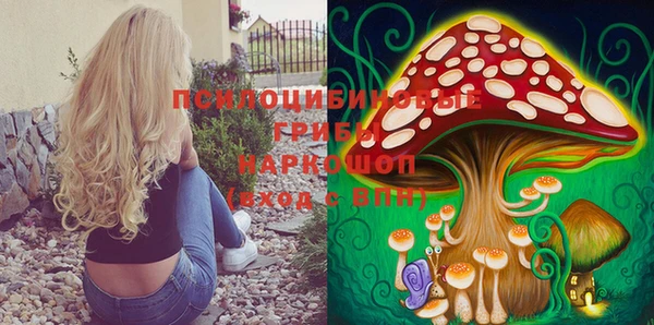 твердый Нягань