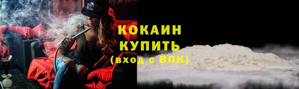 тгк Няндома