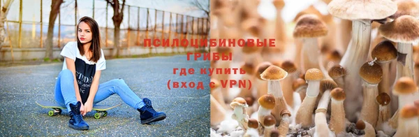 тгк Няндома