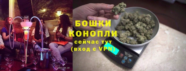 тгк Няндома