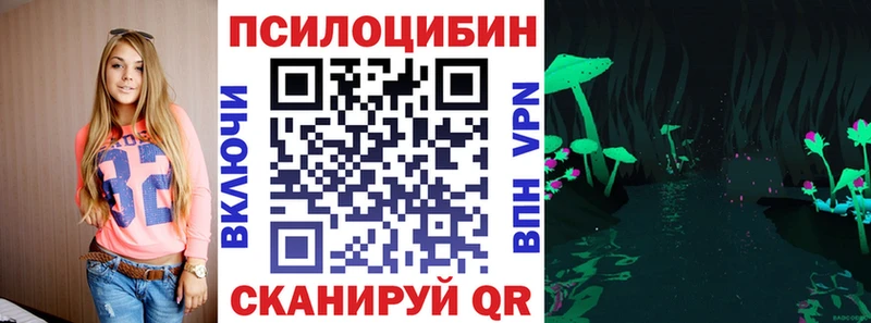 Купить где  Туран  Псилоцибиновые грибы Cubensis 
